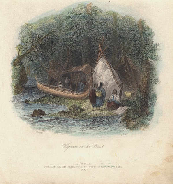 Wigwam in the Forest by William Henry Bartlett