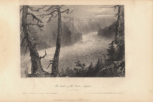 The Banks of the River Niagara (below the falls) by William Henry Bartlett