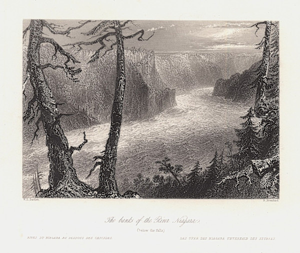 The banks of the River Niagara (below the falls) by William Henry Bartlett
