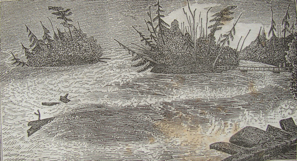 View of the Islands and rapids from the bridge by after William Henry Bartlett