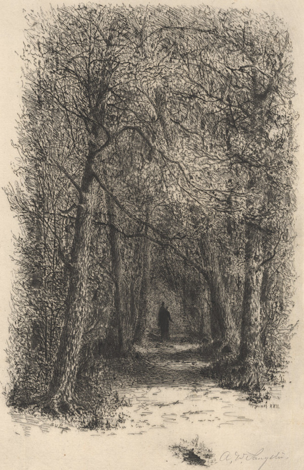 The Lover's Walk, Goat Island by Amos W. Sangster, Image 1.