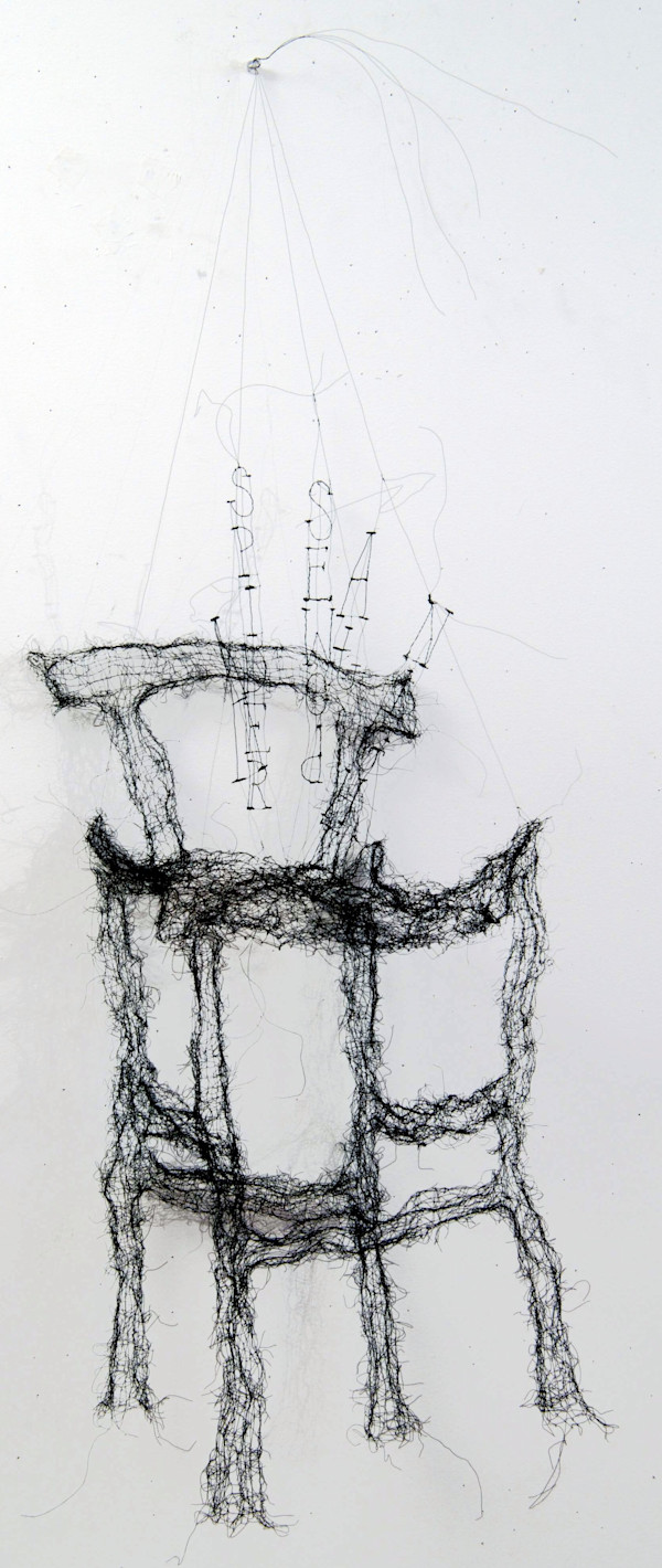 A Spider Sewed at Night by Lesley Dill