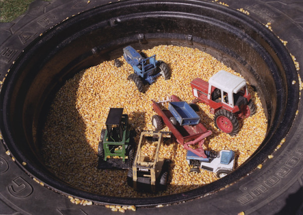 Farm Toys in Tire, Badding Brothers' Farm Market, East Amherst, NY by Marion Faller