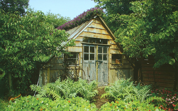 Greenhouse, Tom Tower's Farm Market, Youngstown, NY by Jim Bush