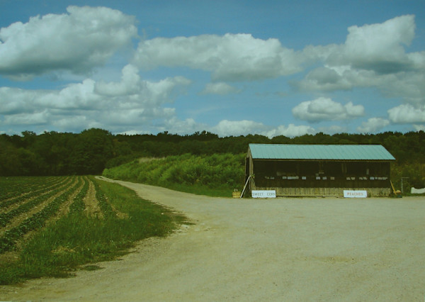 Thorpe's Farm Market, Wales Center, NY by Jim Bush
