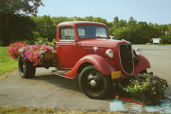 Vintage Truck with Flowers, Goodman's Farm Market, Niagara Falls, NY by Jim Bush