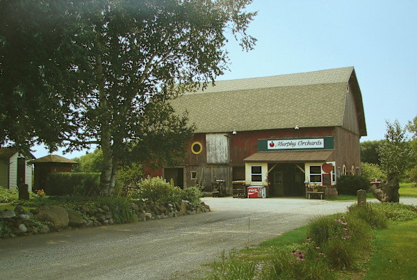 Murphy Orchards, Burt, NY by Jim Bush