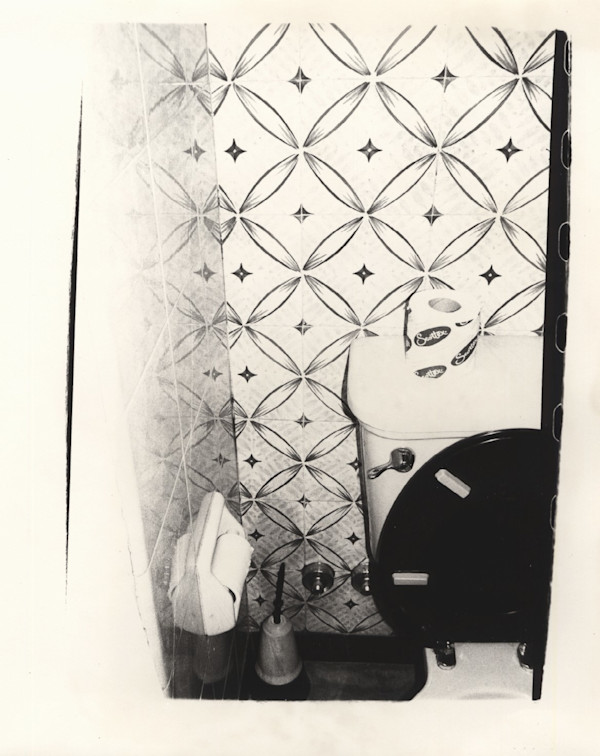 Bathroom by Andy Warhol