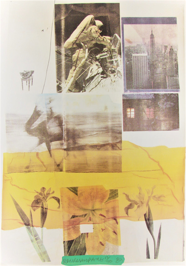Mineral and Vegetal by Robert Rauschenberg