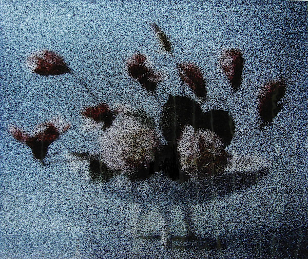 Black Vase by Ellen Brooks