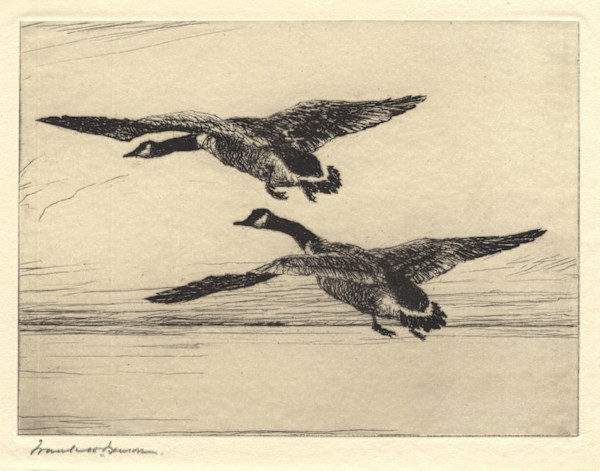 Two Black Geese by Frank W. Benson