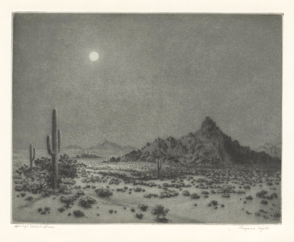Arizona Night by George Elbert Burr