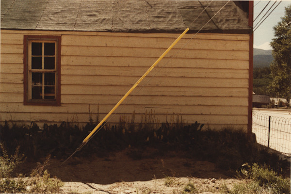 Untitled #3108 by Michael Bishop