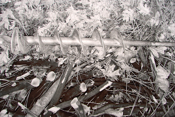 Untitled by Michael Bishop