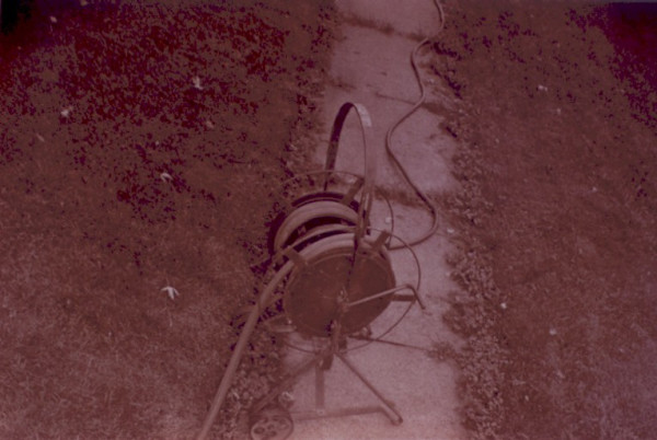 Untitled by Michael Bishop