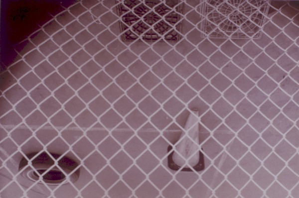 Untitled by Michael Bishop