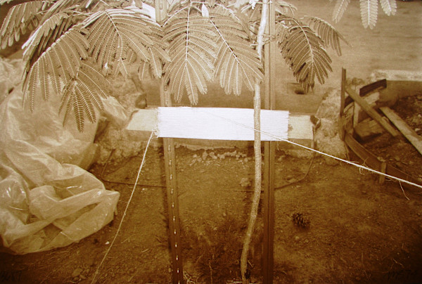 Untitled by Michael Bishop