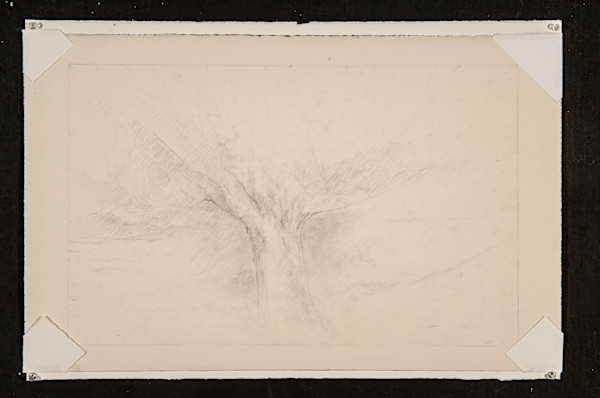 Untiled (Tree) by Jake Berthot, Image 1.