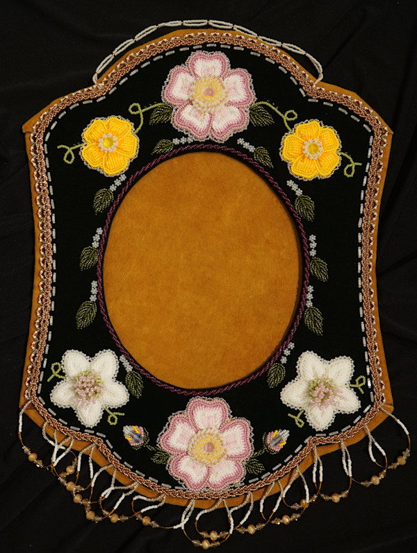 Invasive Species Triptych Picture Frame (1 of 3) by Melissa Gansworth