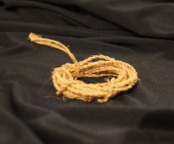 Cordage (Hemp Dogbane) by Kristiana Ferguson