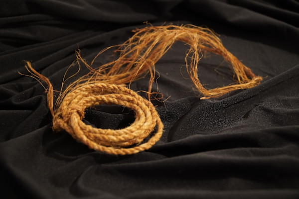 Cordage (Basswood) by Kristiana Ferguson