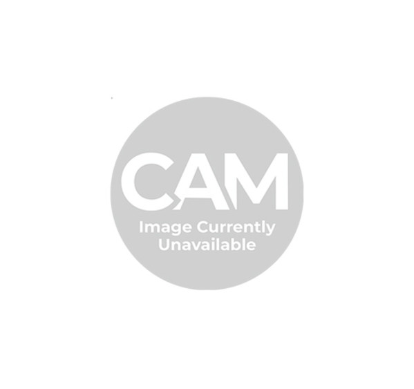 CAM1996.160 by Lee Williams