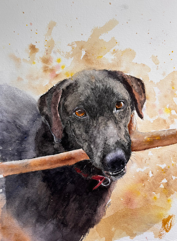Archie by Chantal