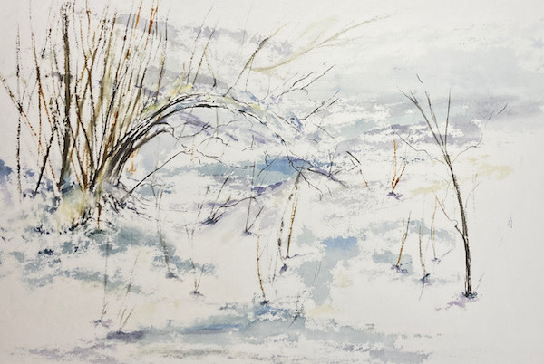 Backyard Winter Inspiration by Chantal