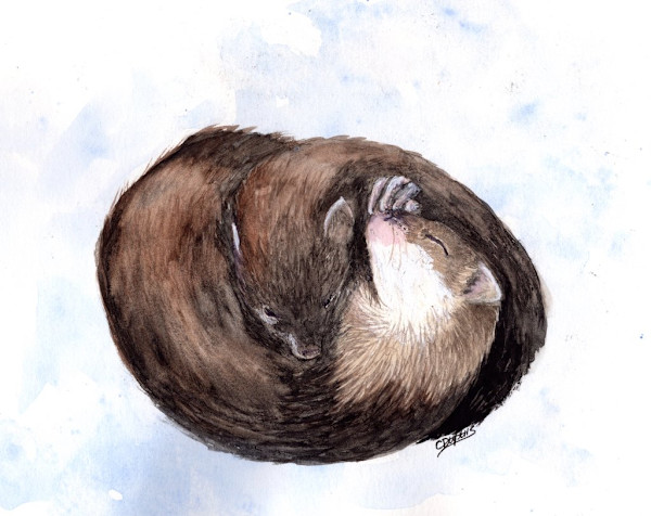 Darling Weasels by Chantal