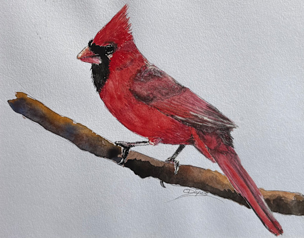 Cardinal 3 by Chantal