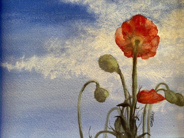 Poppies by Chantal, Image 1.