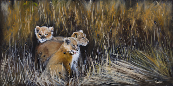 Little Princes by Chantal