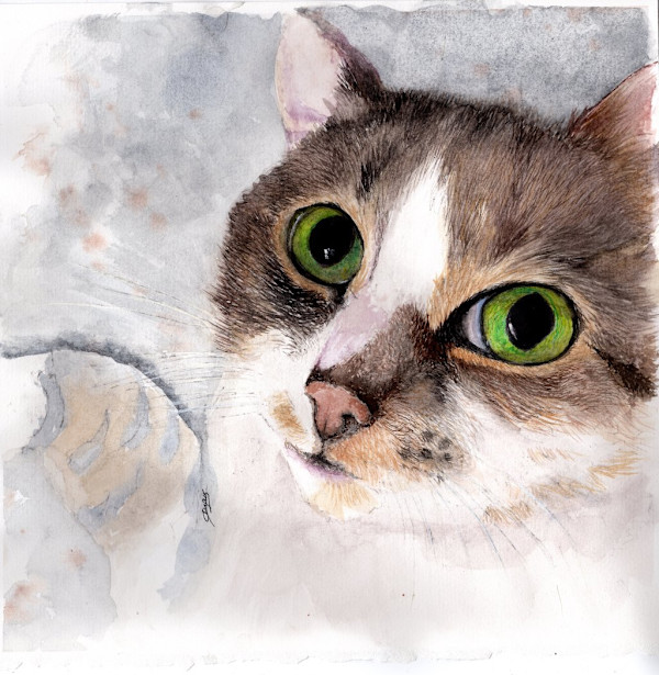 Phoebe by Chantal