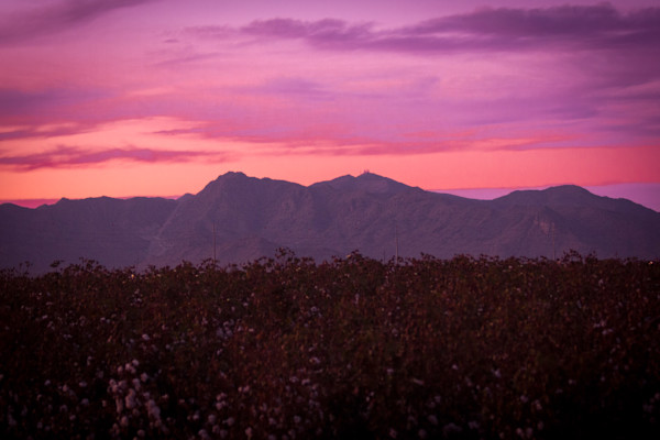 Arizona Sunset by Missy Burton