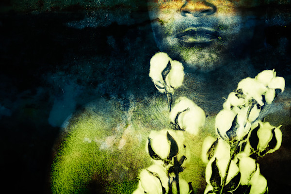 Dynasty: This Too Shall Pass by Missy Burton