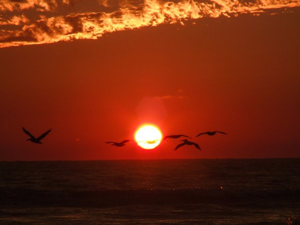 Pacific Sunset by Missy Burton