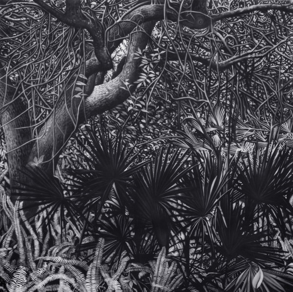 Mahogany & Palms by Christine Anagnostis