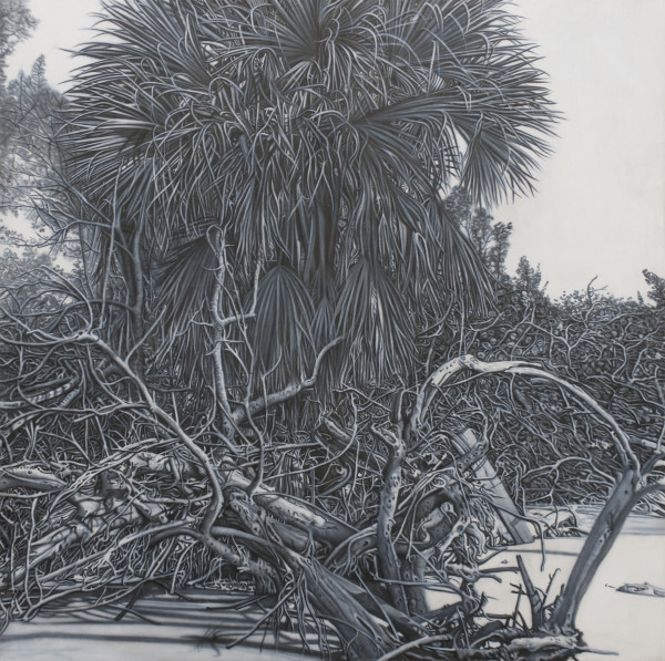 Palmetto Palms II by Christine Anagnostis
