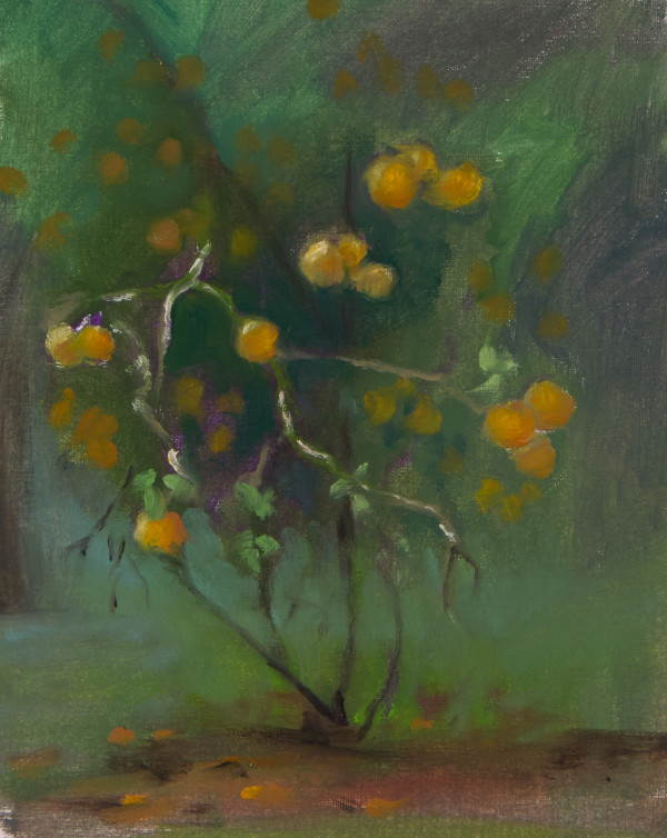Asian Orange by Michael McSorley
