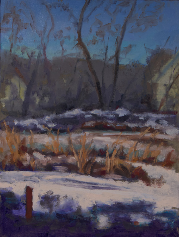 Milford Backyard in Winter by Michael McSorley