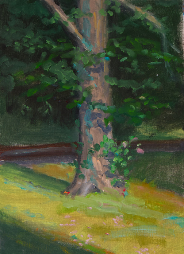 Tree at Abott's Mill by Michael McSorley