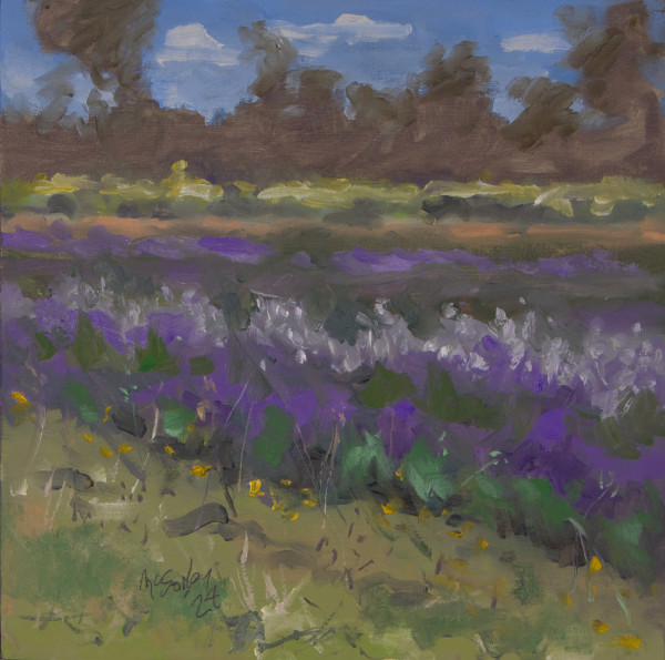 Wildwood Lavender Farm by Michael McSorley