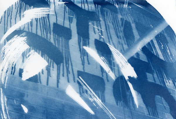 Cyanotype by Karen Johanson, Image 1.