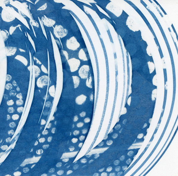 Octopus #11 by Karen Johanson, Image 2.