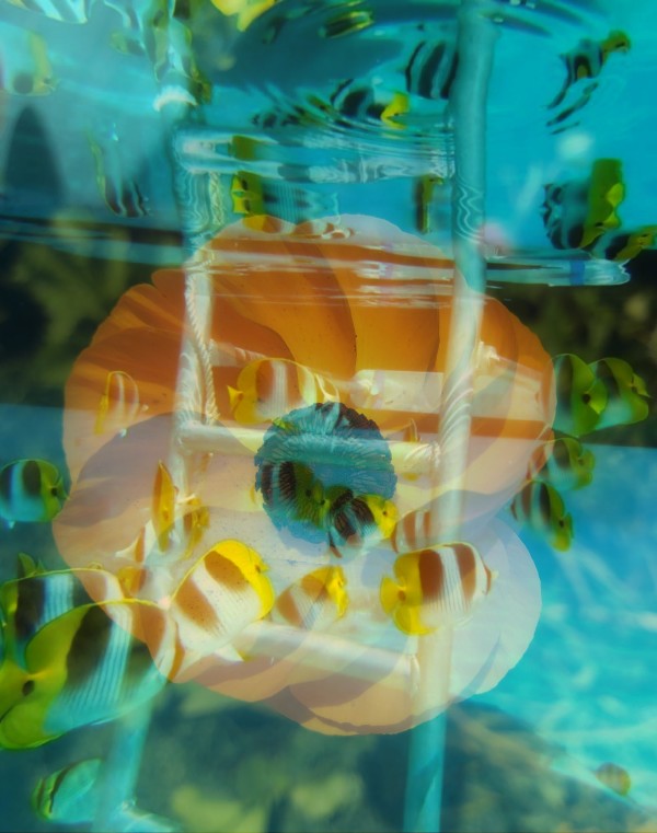 Hallucinations: Underwater Fish with Yellow Flower by Bonnie Levinson