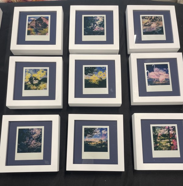 Polaroid 1-9 framed