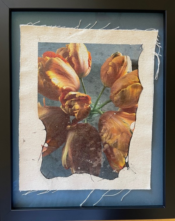 Tulips Through Time (framed) by Bonnie Levinson