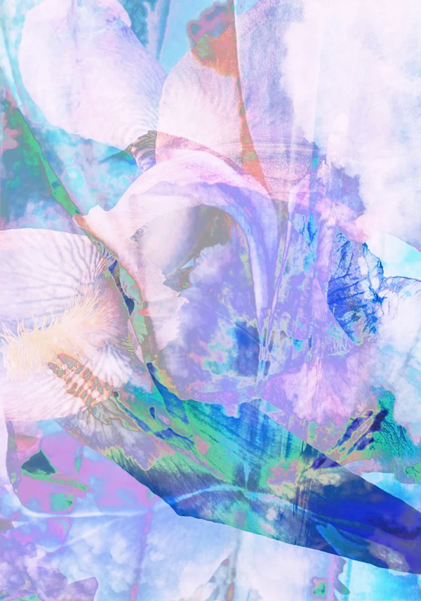 Lilac Colors by Bonnie Levinson, Image 1.
