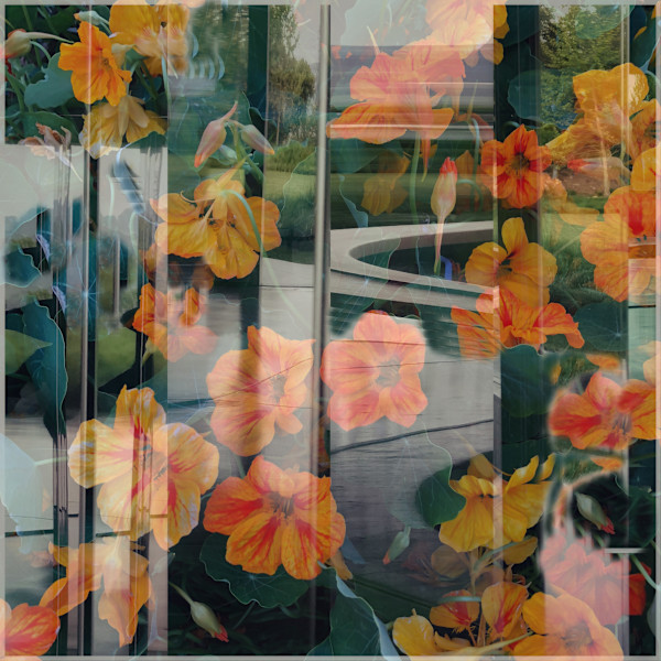 Illusions of Flowers, edition of 8 by Bonnie Levinson