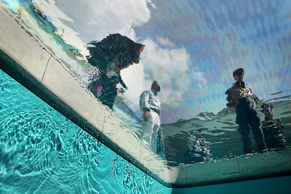 Investigating - available in 3 sizes by Bonnie Levinson